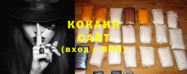 соль курить ск Новодвинск