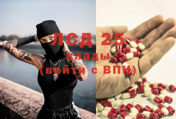 соль курить ск Новодвинск