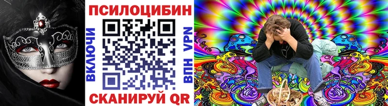 Галлюциногенные грибы Psilocybine cubensis  Тихорецк 